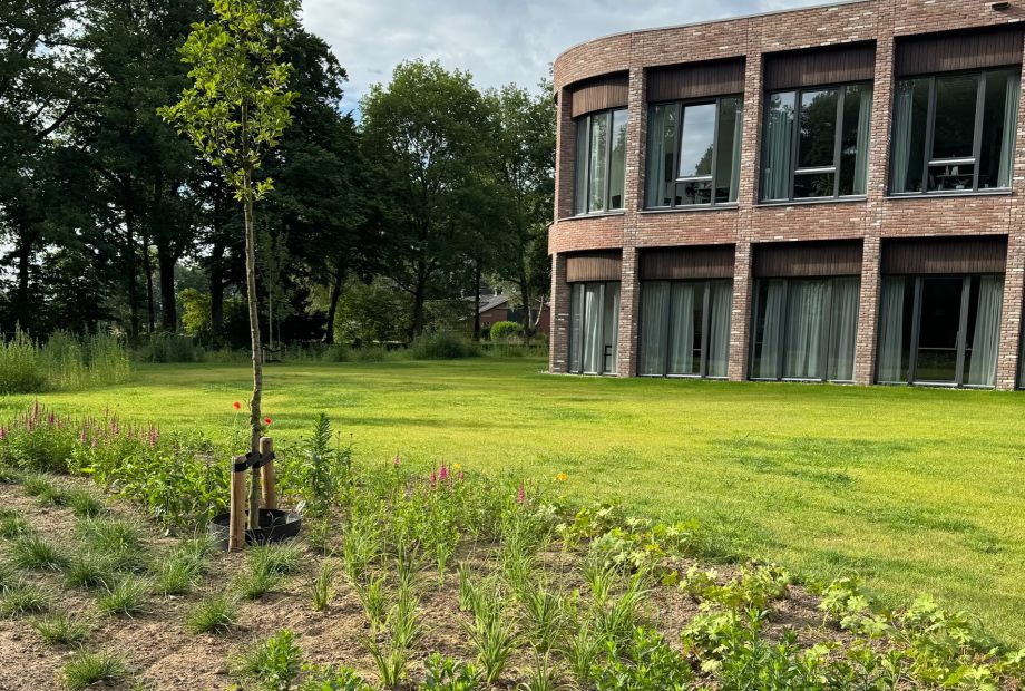 GGNet warnsveld - de dries
